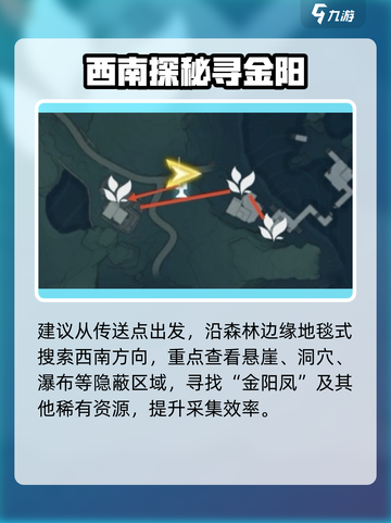 鸣潮金阳凤采集路线分享介绍截图3
