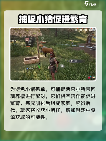 荒野起源养猪怎么养介绍截图5