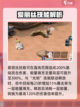 蔚蓝档案时怎么样介绍截图3