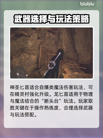 《龙之信条2》盗贼武器推荐🔥📌截图3