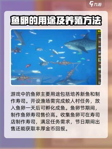 潜水员戴夫鱼卵怎么获得介绍截图3