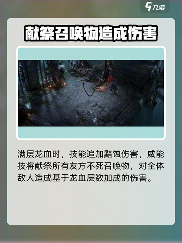 龙息神寂阴墟之主是谁介绍截图4