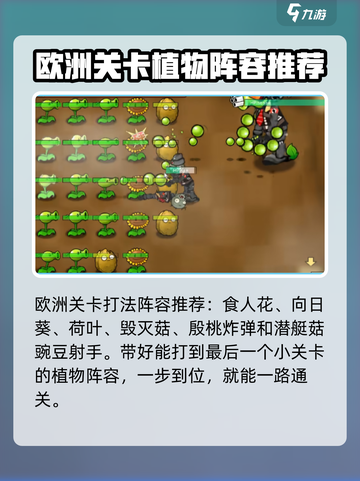 植物大战僵尸二战版🔥欧洲战场打法揭秘！ Zombies快来挑战👇截图3
