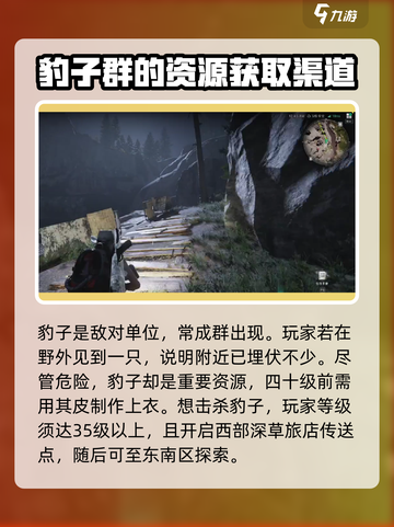 七日世界🎉豹子玩法大揭秘，游戏党必看！截图2