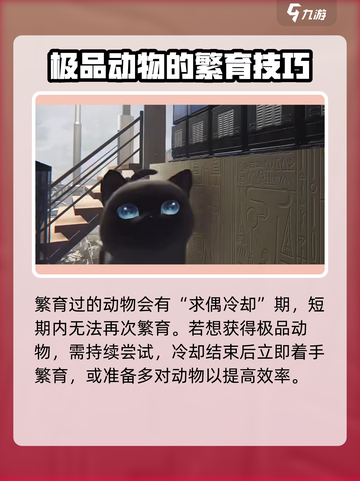 七日世界动物养殖攻略介绍截图5
