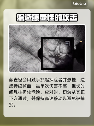 泰拉瑞亚🔥内容警告藤壶怪应对方法分享！截图3