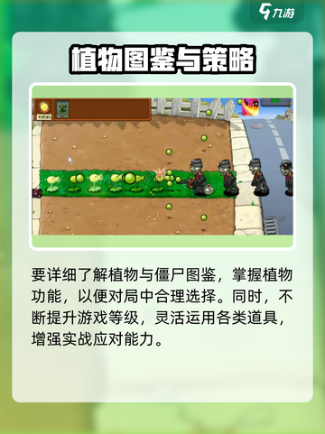 🎮植物大战僵尸二战版玩法大揭秘！僵尸迷必看💥截图5
