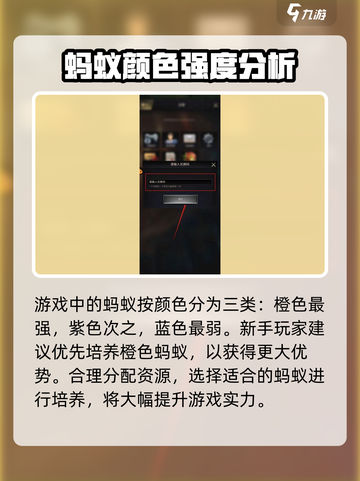 小小蚁国cdk在哪里兑换介绍截图5