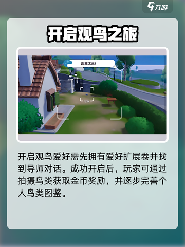 心动小镇🐦全鸟类图鉴曝光！拍照神技速看截图3