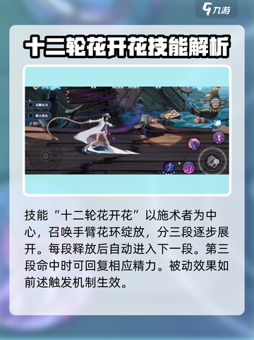 航海王壮志雄心Mr5是谁介绍截图4