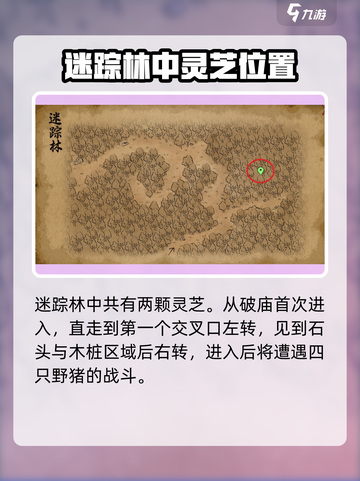 大侠立志传🔥迷踪林灵芝位置全揭秘！截图2