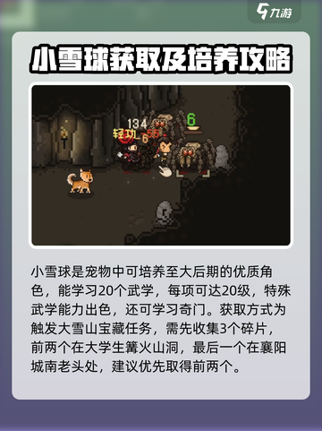 大江湖之苍龙与白鸟队伍如何搭配介绍截图4