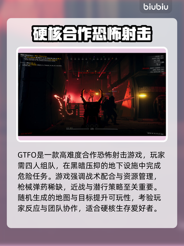 🔥GTFO加速器怎么选？游戏党必看！🚀截图2