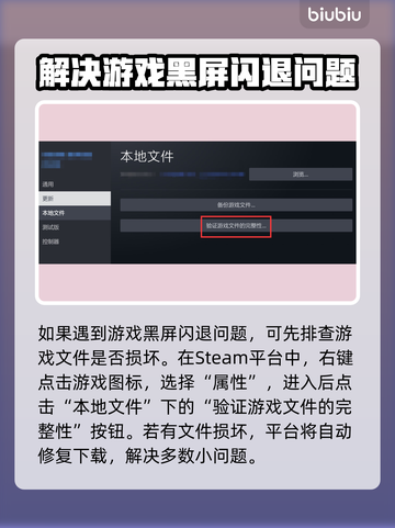 无主之地2黑屏闪退？❌教你一招搞定！🔥截图2