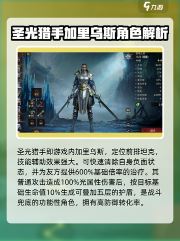 魔兽世界🔥龙息神寂神圣猎手超强攻略✨截图2