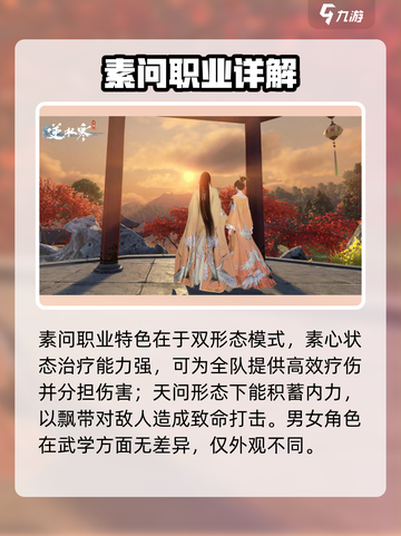 逆水寒男素问怎么样介绍截图2