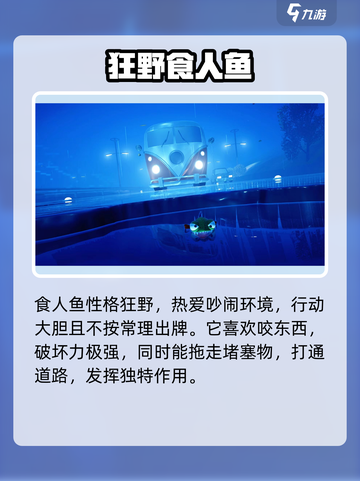 我是小鱼儿角色有哪些介绍截图3