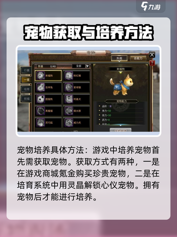 三国群英传宠物培育全解🔥助你称霸战场！截图2