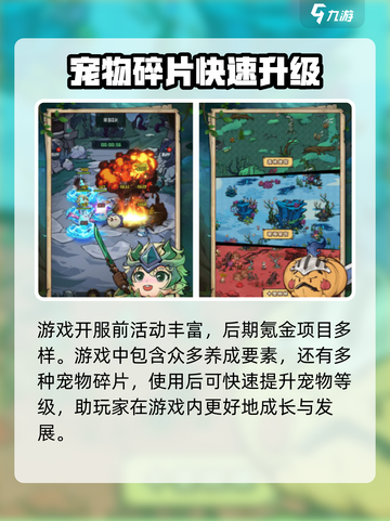 奥丘树海之下月卡怎么样介绍截图2