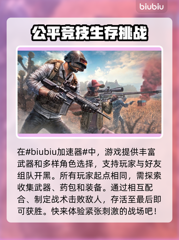 PUBG闪退？用这个加速器立马解决！🔥🚀截图2