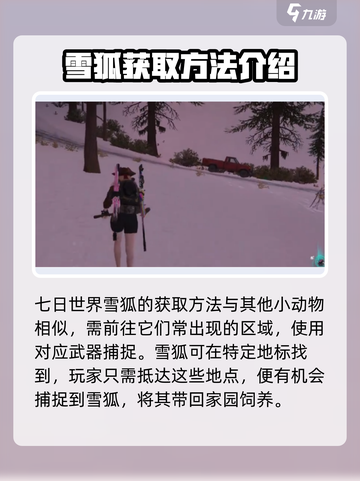七日世界雪狐怎么获得介绍截图2