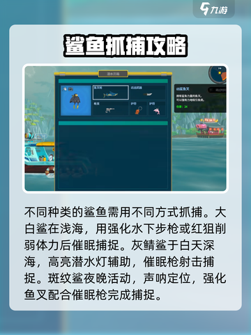 潜水员戴夫鲨鱼怎么抓介绍截图2
