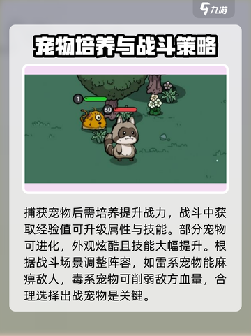 英勇之地🔥宠物驯养秘籍，快速上手🎉截图4