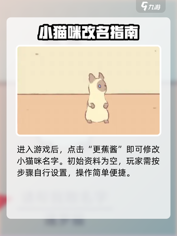 🎮《猫咪和汤》取名绝招！秒变吸睛王✨截图3