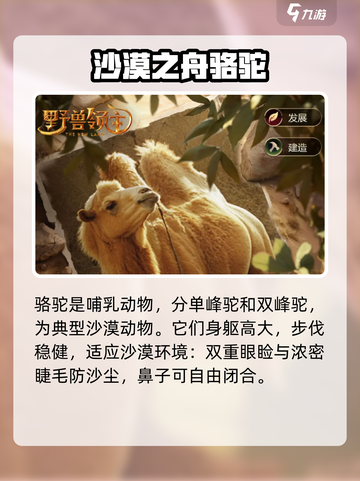 野兽领主新世界🔥骆驼最强攻略🎉截图2