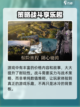 龙息神寂公测什么时候介绍截图5