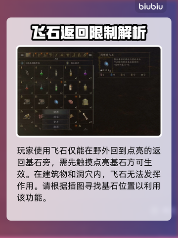 龙之信条2⚡：刹那的飞石居然有这种作用！截图3