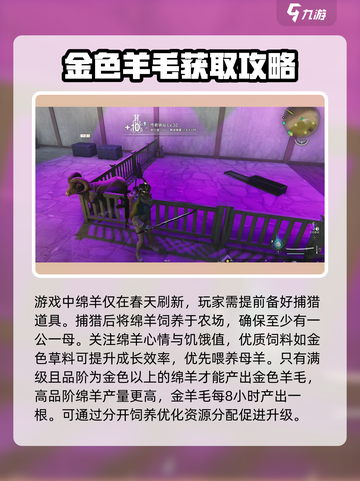 七日世界金羊毛是什么介绍截图4