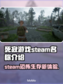 死寂游戏英文名🔥Steam上叫啥快来看看🎮