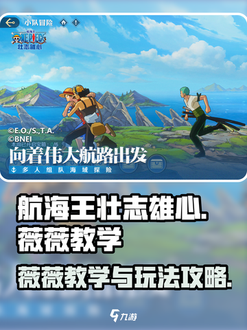 航海王壮志雄心薇薇教学是怎样的介绍截图1