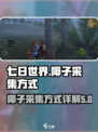 七日世界椰子在哪介绍