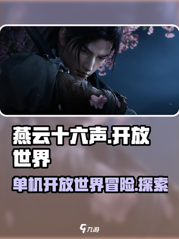 燕云十六声是单机吗介绍截图1