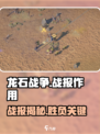 🎮龙石战争战报大揭秘！你不知道的隐藏作用