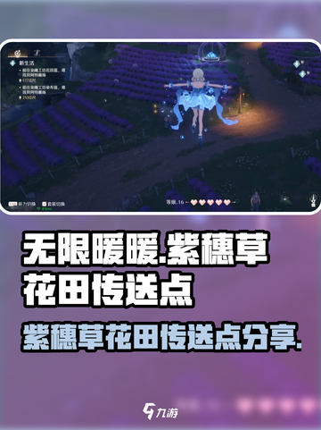 《无限暖暖》紫穗草花田传送点分享✨截图1