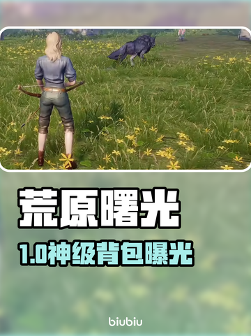 【荒原曙光】背包神技🔥秒变仓库大师！截图1