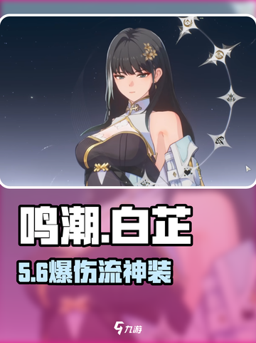 🔥鸣潮白芷声骸神装搭配💥截图1