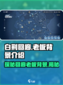 白荆回廊🔥老板竟是他？背景太深了！🎮