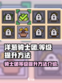 洋葱骑士团等级怎么提升介绍