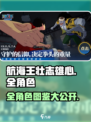 航海王壮志雄心全角色介绍介绍