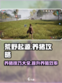 荒野起源养猪怎么养介绍