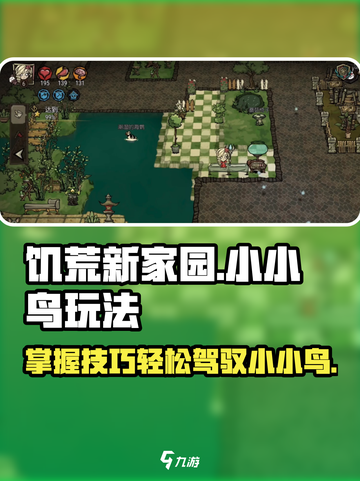 饥荒新家园小小鸟怎么玩介绍截图1