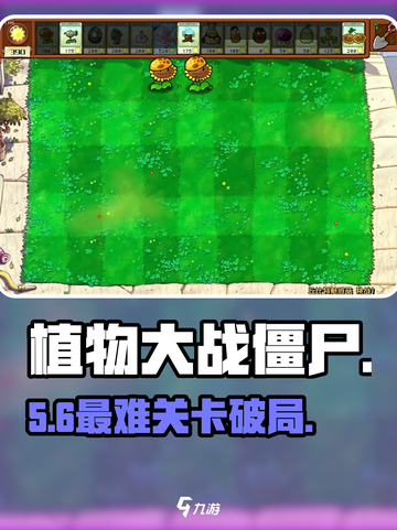 🔥植物大战僵尸最难关卡破防！🎮截图1