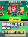 爆裂小队🔥金币使用大全，快速上分秘籍！