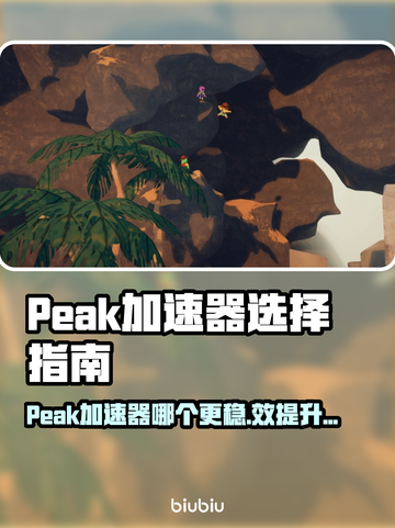 🔥Peak加速器选哪个？游戏党必看！🎮截图1