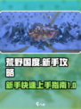 荒野国度新手攻略介绍