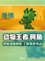 动物王者鳄鱼强度高吗介绍